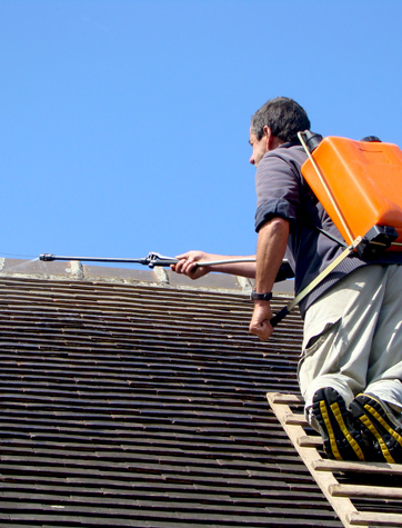 Nettoyage et Démoussage toiture : Solution de nettoyage de toiture professionnelle et produit antimousse. Sur Liège en Belgique  - HV TOITURE FACADE LIEGE